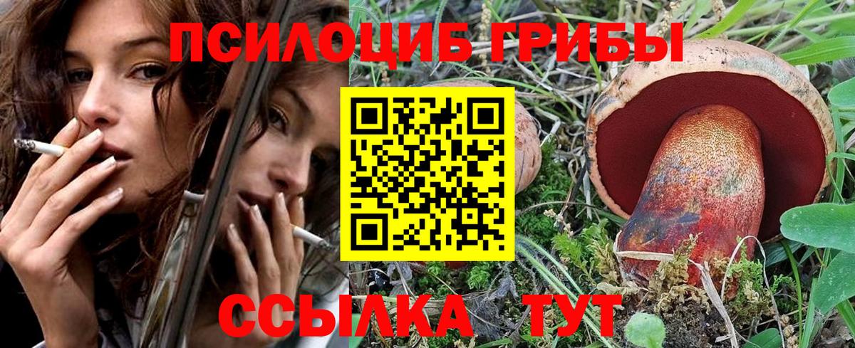 Галлюциногенные грибы MAGIC MUSHROOMS  Вход с VPN  Северск  Псилоцибиновые грибы ЛСД 